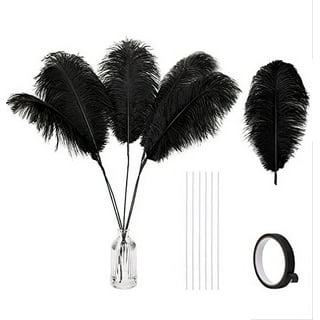 Silver Tip Black Goose Feathers, 10 Pieces, 6-8 Inches, Fall Halloween