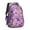 Colorful Funny Dachshund-1, variant on Colorful Funny Dachshund Backpack for School,Cute School Bag,Schoolbag with Adjustable Shoulder Straps & Padded Back,16.9 Inch