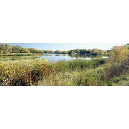 Reflection of trees in water Odana Hills Golf Course Madison Dane County Wisconsin USA Canvas Art - Panoramic Images (18 x