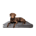 Thick Orthopedic Dog Bed