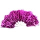 thumbnail image 2 of Pompones de porristas, pompones de porristas Chear Party Chear Poms Pompoms Cheer Custom Engineered, 2 of 2