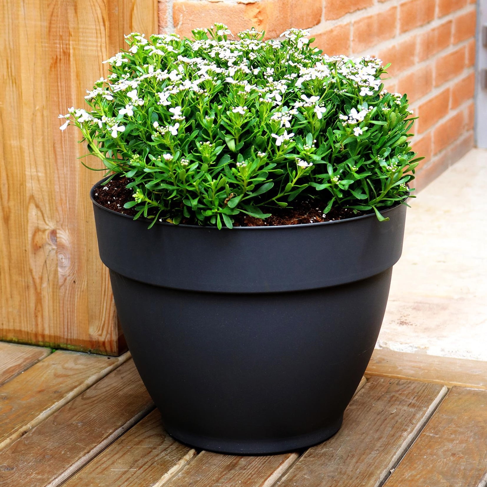 Jacinto Recycled Plastic Planter, 6 in Opening Diameter, Black Color