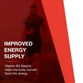 thumbnail image 3 of Protocol Niacin 500mg Flush Free - Vitamin B3 - Energy - 90 Veg Caps, 3 of 8