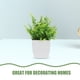 thumbnail image 4 of Bonsái artificial de 3 piezas, plantas falsas para decoración de interiores, pequeñas plantas artificiales para escritorio, plantas verdes realistas, decoración artificial, 4 of 8