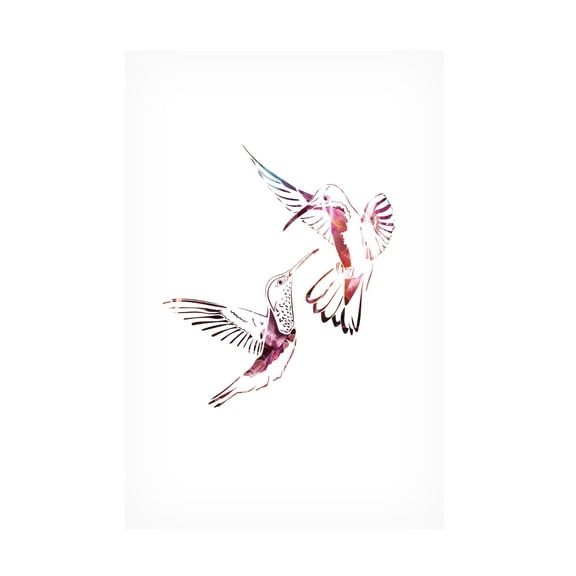 Trademark Fine Art Sarah Manovski Colourful Hummingbirds Canvas Wall Art