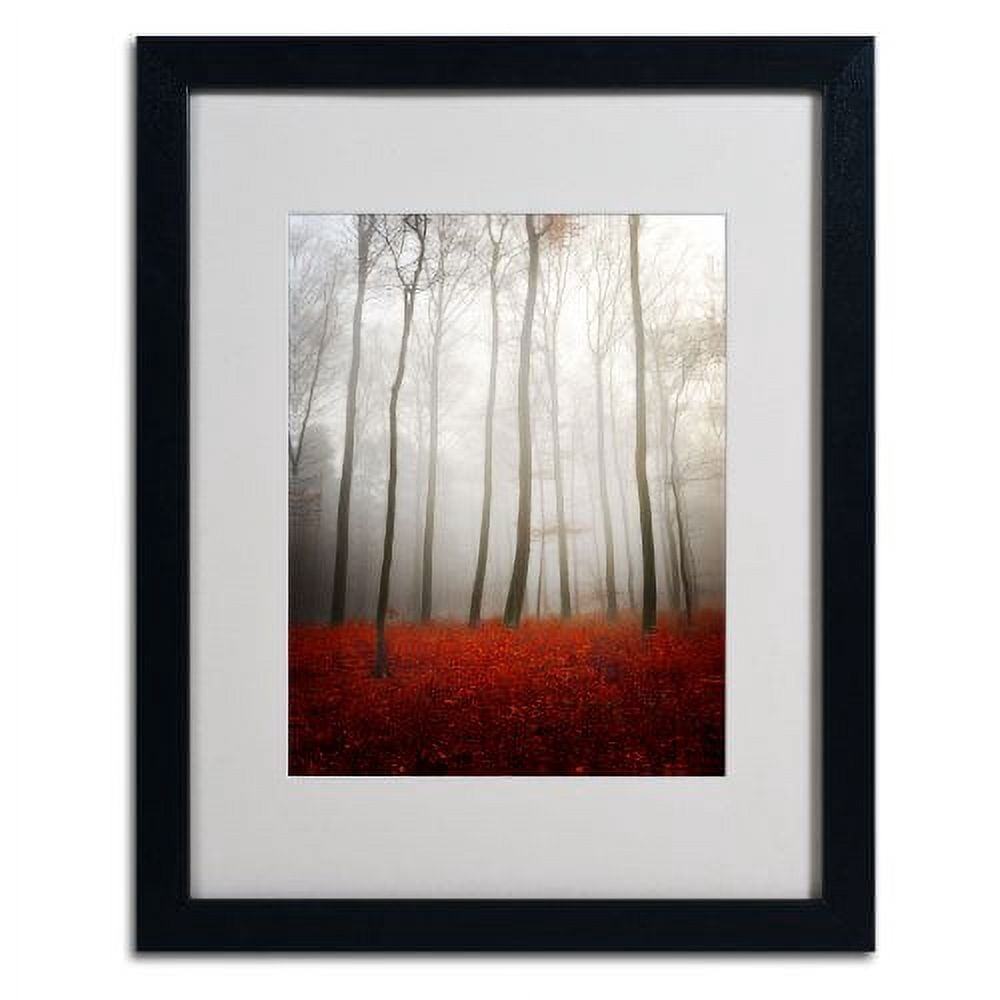 Trademark Fine Art "Leafless" Canvas Art by Philippe Sainte-Laudy, Black Frame