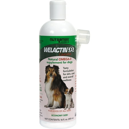 Nutramax Welactin Canine Omega-3 Liquid Dog Supplement, 16 (Best Omega 3 Supplement For Dogs)
