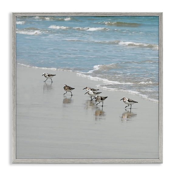 Stupell Industries Transitional Sandpipers on Shore Reflection Gray Framed Giclee Art, 17 x 17, by Natalie Carpentieri
