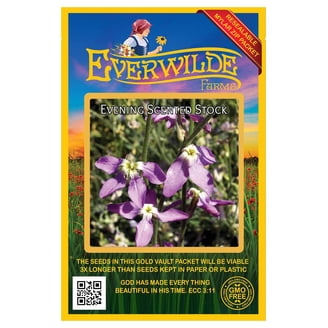 Everwilde Farms, Pumila Mixed Zinnia Garden Flower Seeds, Annual