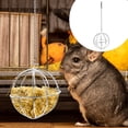 thumbnail image 2 of 1pc Esfera Hámster Conejo Alimentador Mascota Hierba Dispensador Bola de alimentación colgante Plata, 2 of 5