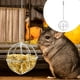 thumbnail image 4 of 1pc Esfera Hámster Conejo Alimentador Mascota Hierba Dispensador Bola de alimentación colgante Plata, 4 of 6