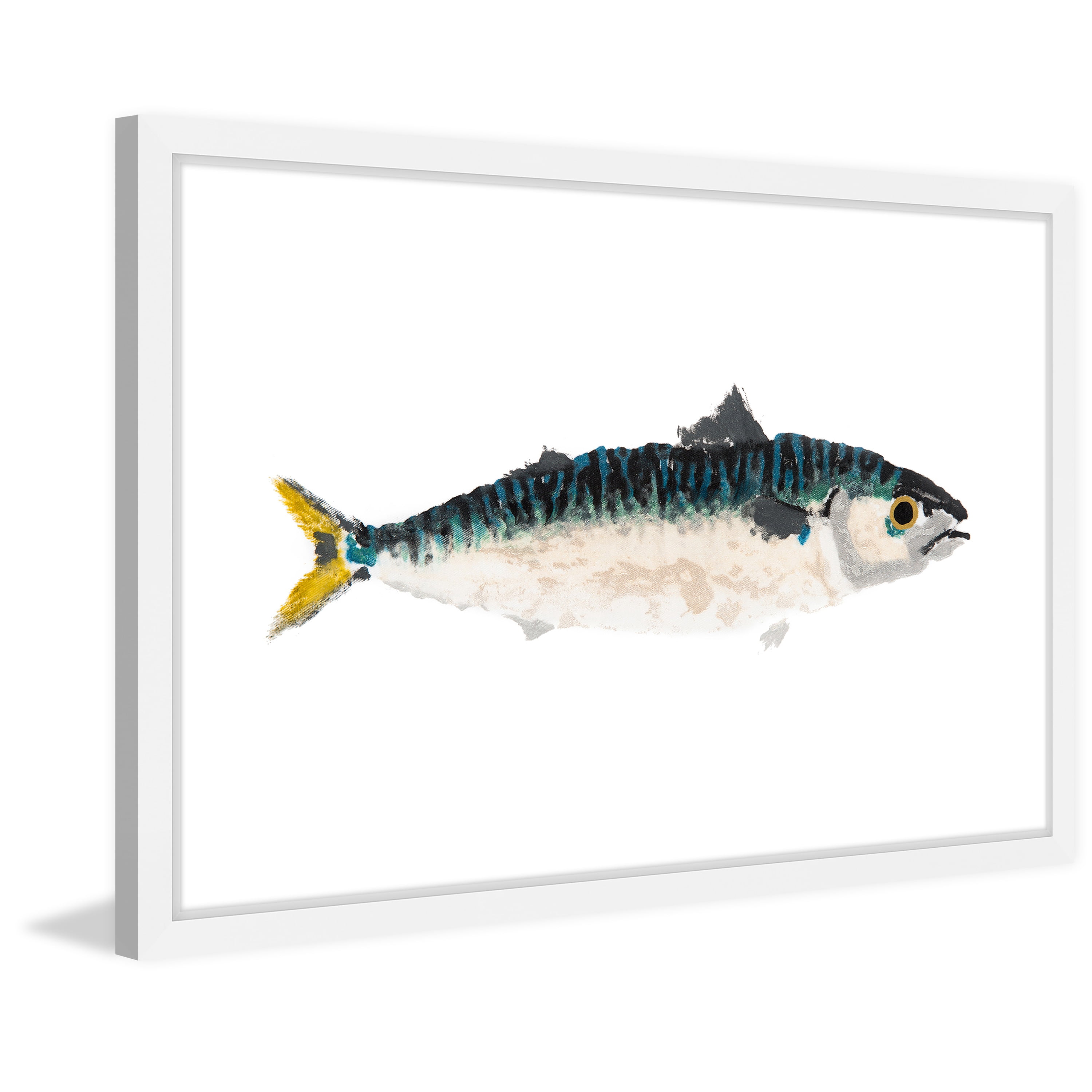 Marmont Hill "Two-Tone Fish" by Michael Pantalos Framed Painting Print