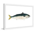 thumbnail image 3 of Marmont Hill "Two-Tone Fish" by Michael Pantalos Framed Painting Print, 3 of 5