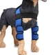 thumbnail image 3 of Tobillera de pierna delantera para perro, corvejón con correa de seguridad para lesiones, esguince Gloria  Soporte de la rodilla del perro, 3 of 8