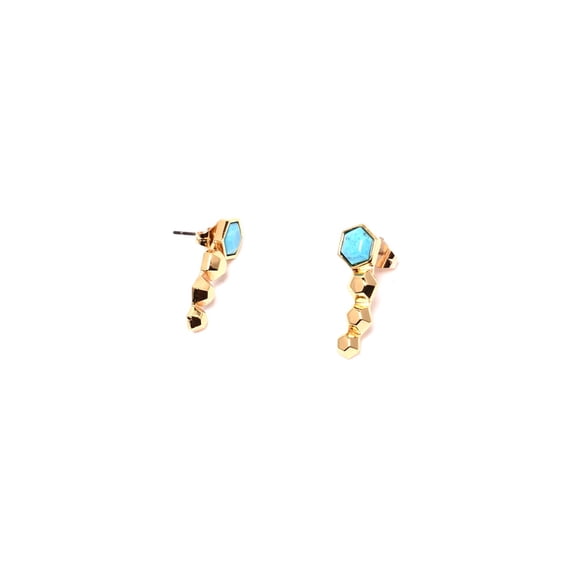 18k Gold Plated Brass Dyed Howlite Hexagon Earrings