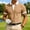 Brown, variant on Collared Polo Shirts for Men with Short Sleeves and Plain Solid Hues Featuring Smart Casual Styles for Office Days Business Lunches Golf Courses Date Nights Daily Commutes Yellow M
