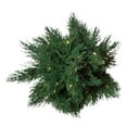 thumbnail image 3 of Kurt Adler 2-Foot Battery-Operated Cypress Tree in Pot with 50 LED Lights, 3 of 5