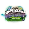 Hatchimals CollEGGtibles Season 2 - CITRUS COAST - 2 pack Egg Carton
