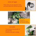 thumbnail image 5 of 75w Sun Basking Lamp Bulb, 4 Pack Full Spectrum Uva Uvb Reptile Heat Lamp Bulb For Turtle Sunbathe Heat Lamp Bulb, 5 of 5