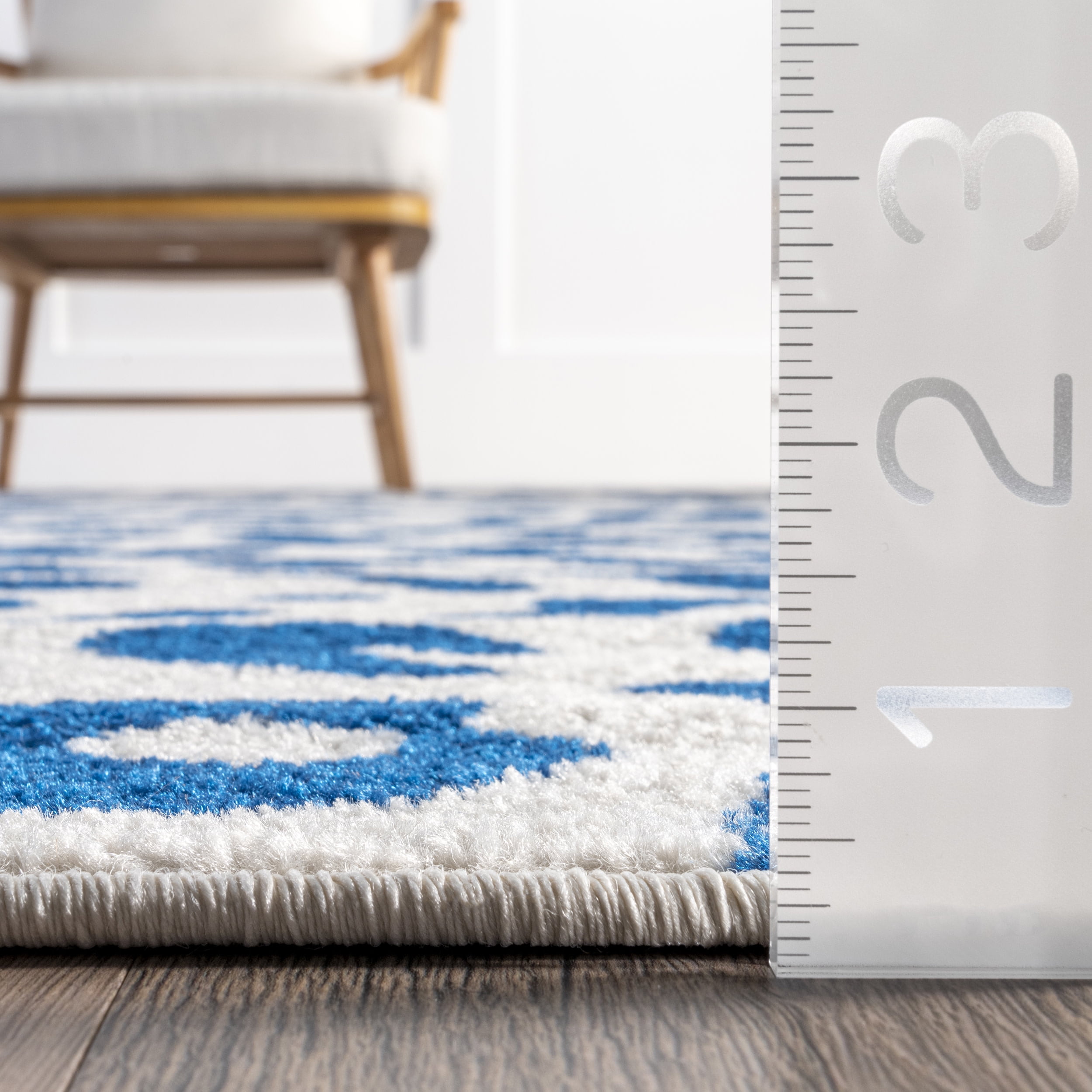 nuLOOM Print Leopard Area Rug, 4' x 6', Blue