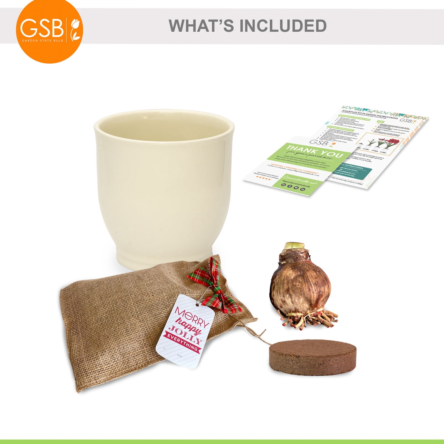 Garden State Bulb Red Double Amaryllis Bulb Gift Kit, 26/28cm (Cream Ceramic Planter)