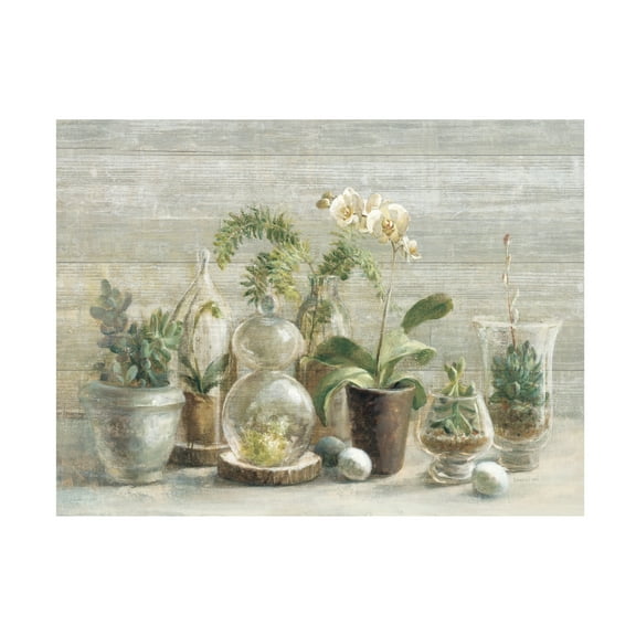 Trademark Fine Art 'Greenhouse Orchids on Wood' Canvas Art by Danhui Nai