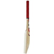 SG Catch Wooden Cricket Bat with Cover | Size- One Size | For Men & Boys | Advance Skill Level