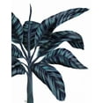 thumbnail image 2 of Fab Funky 26x32 White Modern Wood Framed Museum Art Print Titled - Banana Tree 3, Blue, 2 of 4