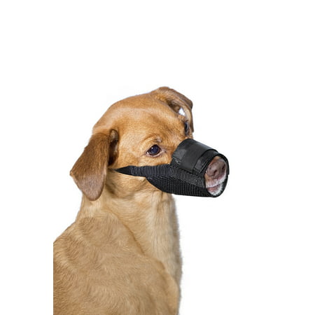 Premier Pet Dog Muzzle for Medium Dogs