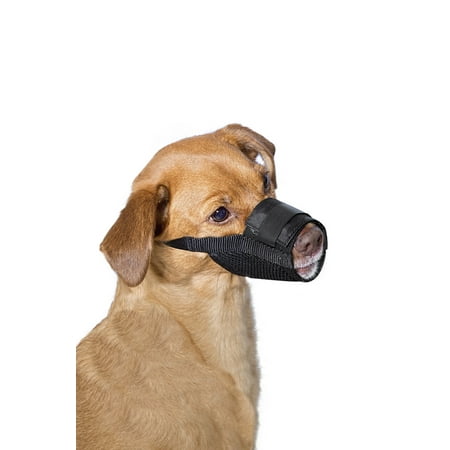 Premier Pet Dog Muzzle for Medium Dogs (Best Muzzle For Aggressive Dog)