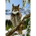 thumbnail image 2 of America Forever Winter Owl Garden Flag Double Sided Vertical Decorative 12.5 x 18 inches for Outdoor, Yard, Porch Happy Holidays Merry Christmas Snowfall Mountain Garden Flag, 2 of 7