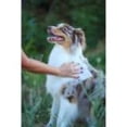 thumbnail image 5 of Earthbath Ultra-Mild Puppy Wipes, Wild Cherry 1ea/30 ct, 5 of 6