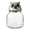 A, variant on Whimsical Owl Spice Jars Set - Handcrafted Vintage Glass Storage Containers with Decorative Lids for Salt, Pepper, Herbs & Tea Leaves - Home Decor Kitchen Display