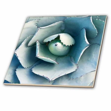Botanical Tile - 3dRose USA, CA, Pasadena, The Huntington Botanical Garden, Agave. - Ceramic Tile, 8-inch