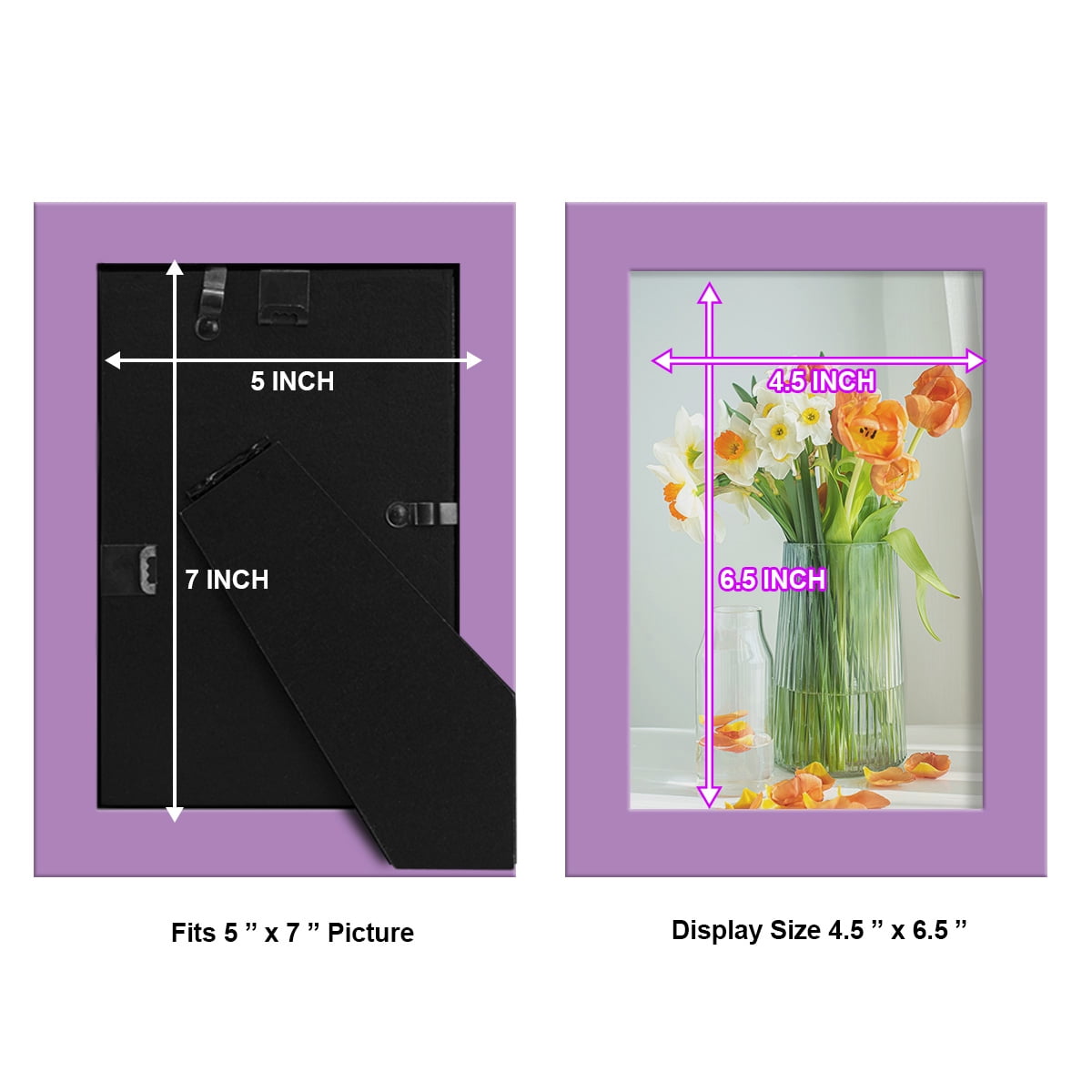 Modern 5 in. x 7 in. Violet Picture Frame (Set of 4)