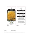 thumbnail image 2 of 2 Gallon (7.5L) Forsythia Shrub, 2 of 6