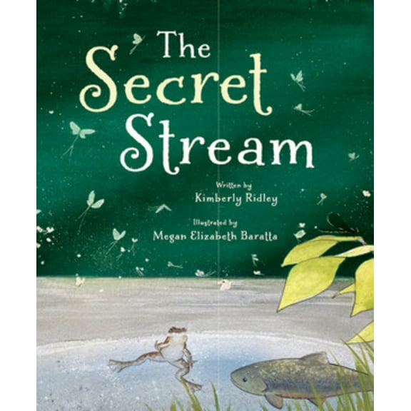 The Secret Stream, (Hardcover)