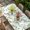 Sage Green, variant on Eucalyptus Leaves Table Cloths for 4 Foot Rectangle Tables, Sage Green Watercolor Farmhouse Patio Waterproof Elastic Fitted Tablecloths, Washable Rectangular Table Cover for Camping