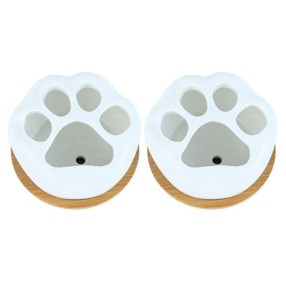 OUNONA  2 Sets Cats Cat's Claw Flower Pot Desktop Flowerpot Office