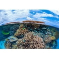thumbnail image 2 of Gabriel, Barathieu 32x23 White Modern Wood Framed Museum Art Print Titled - Split level from Mayotte reef, 2 of 4