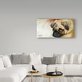 thumbnail image 3 of Trademark Fine Art 'Cutie Pie Pug' Canvas Art by Marcia Baldwin, 3 of 3