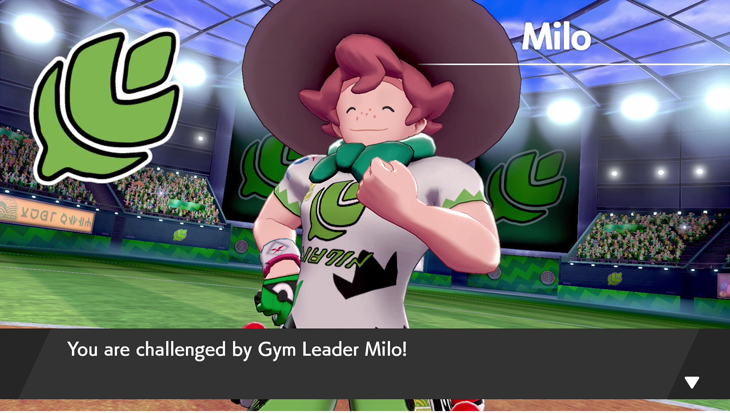 Nintendo Pokemon Sword photo 8