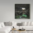 thumbnail image 3 of Trademark Fine Art 'Proud White Lotus' Canvas Art by Christine Sainte-Laudy, 3 of 3
