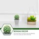 thumbnail image 5 of Cactus de escritorio artificial, bonsái, cactus falsos, plantas en maceta, decoración, 5 of 6