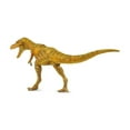 thumbnail image 6 of Safari Ltd. Qianzhousaurus - Detailed 9.5" Dinosaur Figure - Educational Toy for Boys, Girls, & Kids Ages 3+, 6 of 7