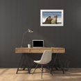 thumbnail image 3 of Illg, Cathy and Gordon 18x13 White Modern Wood Framed Museum Art Print Titled - Sea Lion Island Southern elephant seals fighting, 3 of 4
