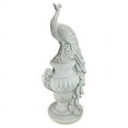 thumbnail image 2 of Design Toscano Staverden Castle Peacock on an Urn Garden Statue, 2 of 6
