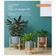 thumbnail image 2 of Bonsai Display Stand Wooden Flower Pot Stand Plant Wooden Stand Home Decoration Gardening Supplies,L, 2 of 5