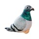 thumbnail image 2 of Animales de Peluche Hugo Paloma Realista Juguete de Peluche 20 cm Gris verdoso, 2 of 10