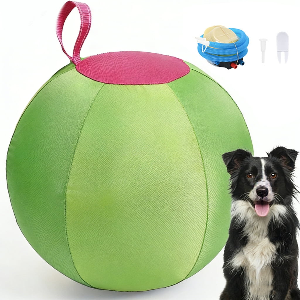 AOOOWER Dog Herding Ball for Shepherds, Corgis, Collies Interactive Bouncy Toy